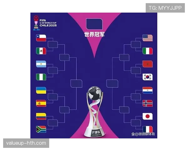 瑞士队2026世界杯前景分析：能否突破小组赛冲击八强